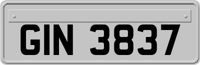 GIN3837