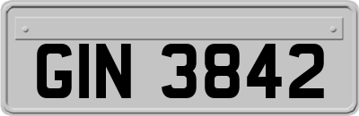 GIN3842