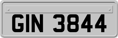 GIN3844