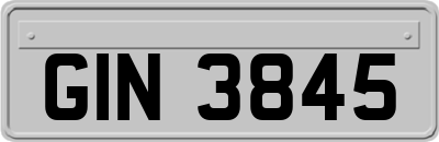 GIN3845