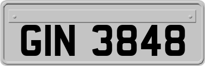 GIN3848