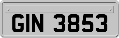GIN3853