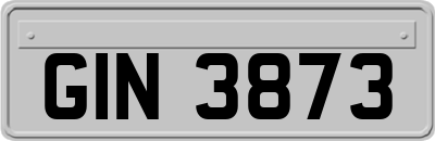GIN3873