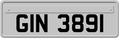 GIN3891