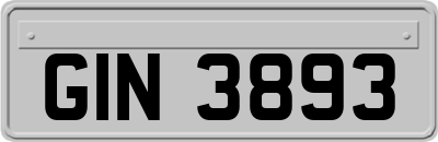 GIN3893