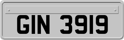 GIN3919