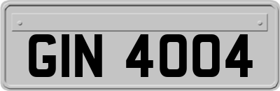 GIN4004