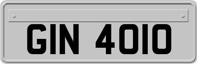 GIN4010