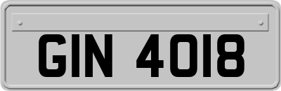 GIN4018