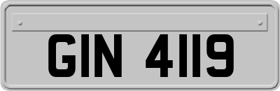 GIN4119