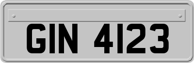 GIN4123