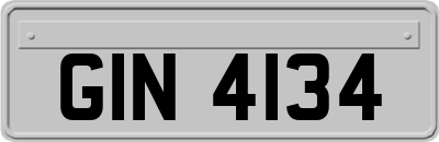 GIN4134