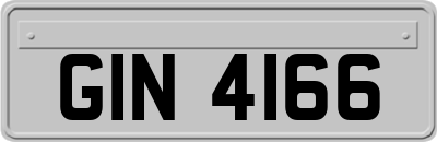 GIN4166