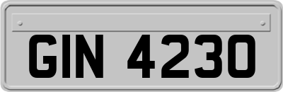 GIN4230