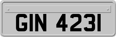 GIN4231