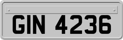 GIN4236