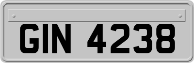 GIN4238