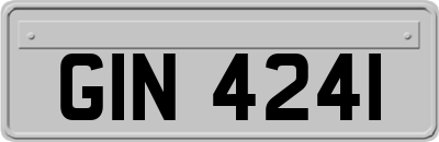 GIN4241