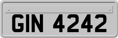 GIN4242