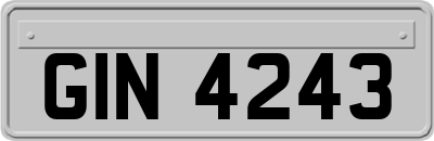GIN4243