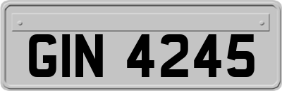 GIN4245