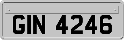 GIN4246