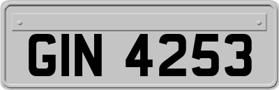 GIN4253