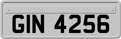 GIN4256