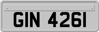 GIN4261