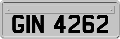 GIN4262