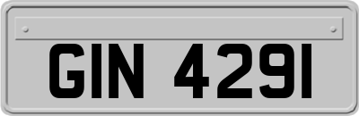 GIN4291