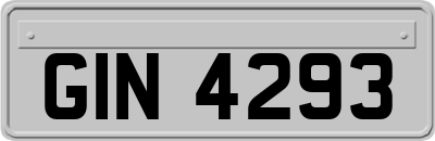 GIN4293