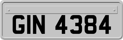 GIN4384