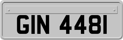 GIN4481