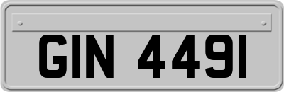 GIN4491