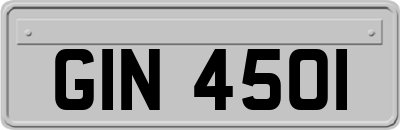 GIN4501