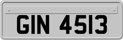 GIN4513