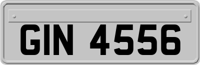 GIN4556