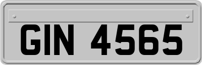 GIN4565
