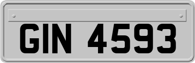 GIN4593