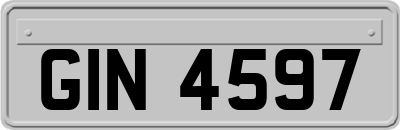 GIN4597