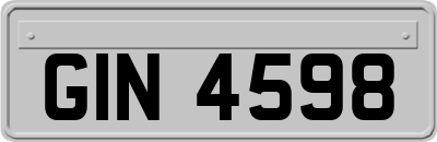 GIN4598