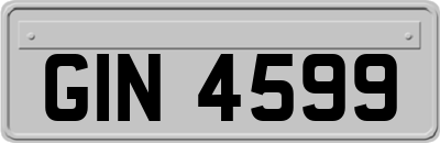 GIN4599