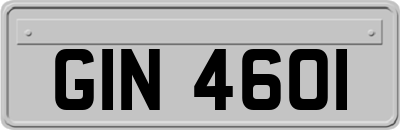 GIN4601