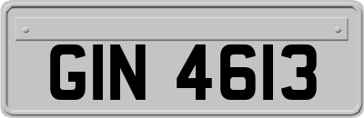 GIN4613