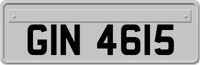 GIN4615