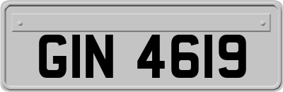 GIN4619