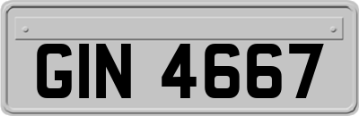 GIN4667