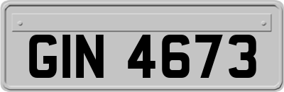 GIN4673