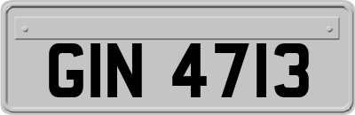 GIN4713